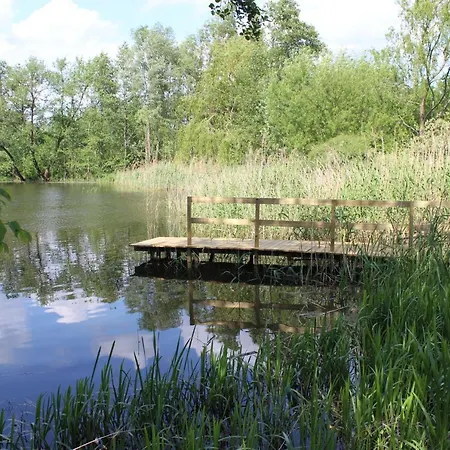 W Nabo * Zaluski (Plonsk)