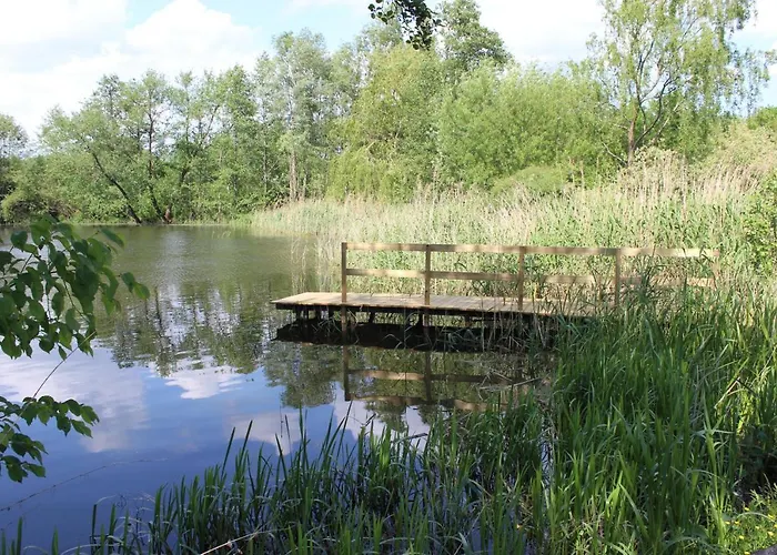 W Nabo * Zaluski (Plonsk)